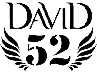 Плавки и пляжные шорты David Man